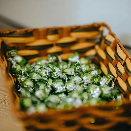 Bloom Villa&apartments * تيرانا