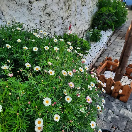 Bloom Villa&apartments Tirana