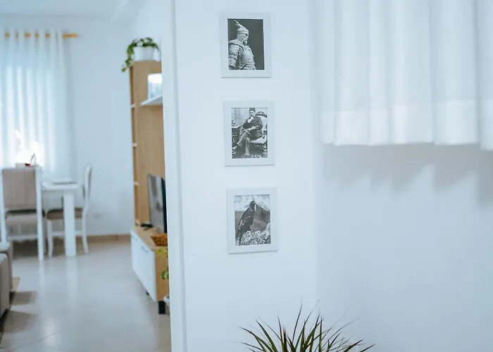 Bloom Villa&apartments 公寓 *