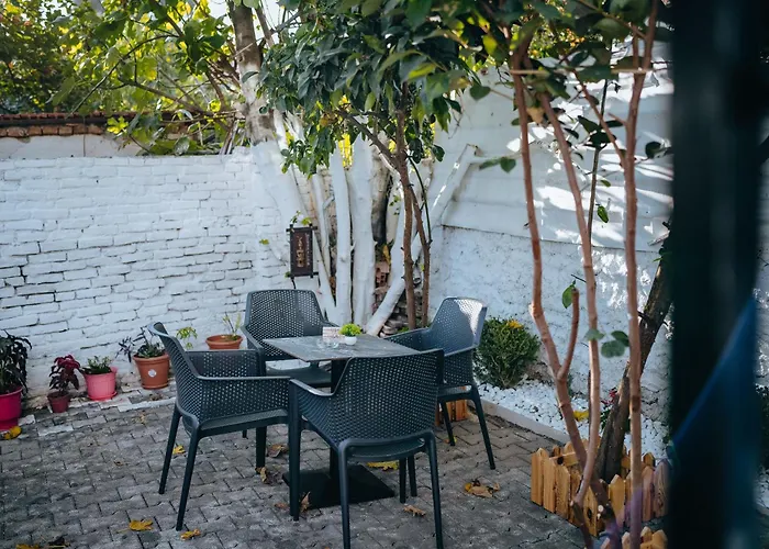 Bloom Villa&apartments 地拉那